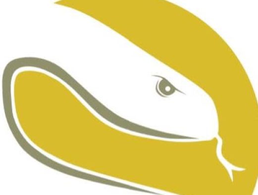 423716261_10165812667923084_8421410891605068718_n 423716261_10165812667923084_8421410891605068718_n